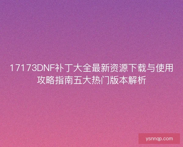 17173DNF补丁大全最新资源下载与使用攻略指南五大热门版本解析