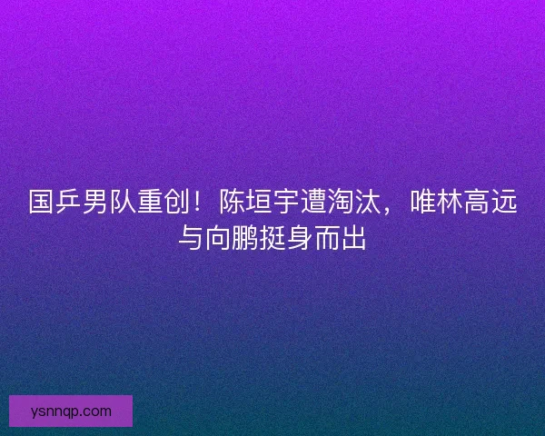 国乒男队重创！陈垣宇遭淘汰，唯林高远与向鹏挺身而出