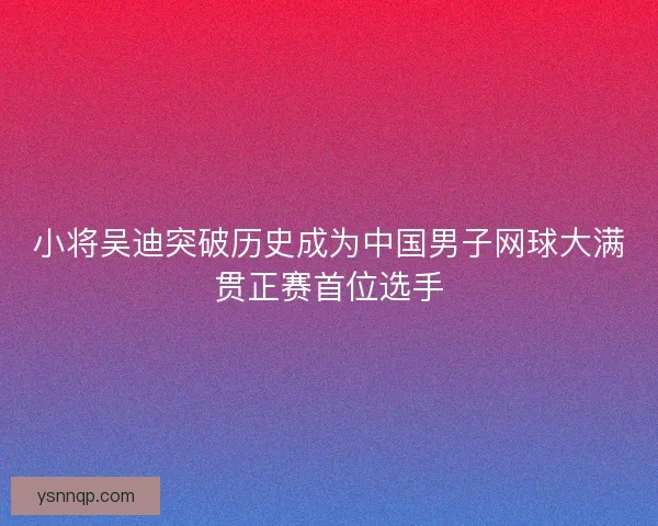 小将吴迪突破历史成为中国男子网球大满贯正赛首位选手
