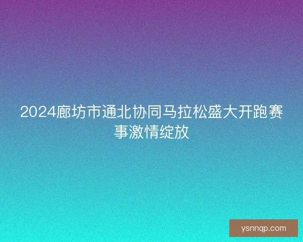 2024廊坊市通北协同马拉松盛大开跑赛事激情绽放