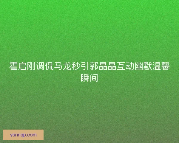 霍启刚调侃马龙秒引郭晶晶互动幽默温馨瞬间