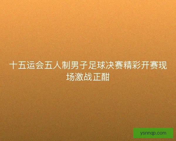 十五运会五人制男子足球决赛精彩开赛现场激战正酣