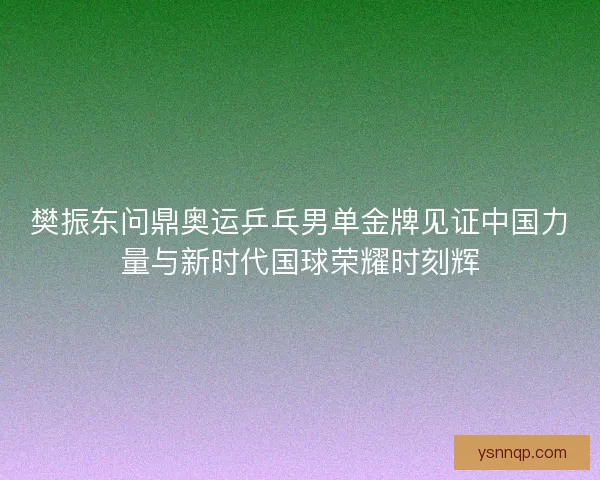 樊振东问鼎奥运乒乓男单金牌见证中国力量与新时代国球荣耀时刻辉