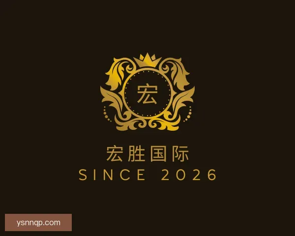 发现宏胜国际